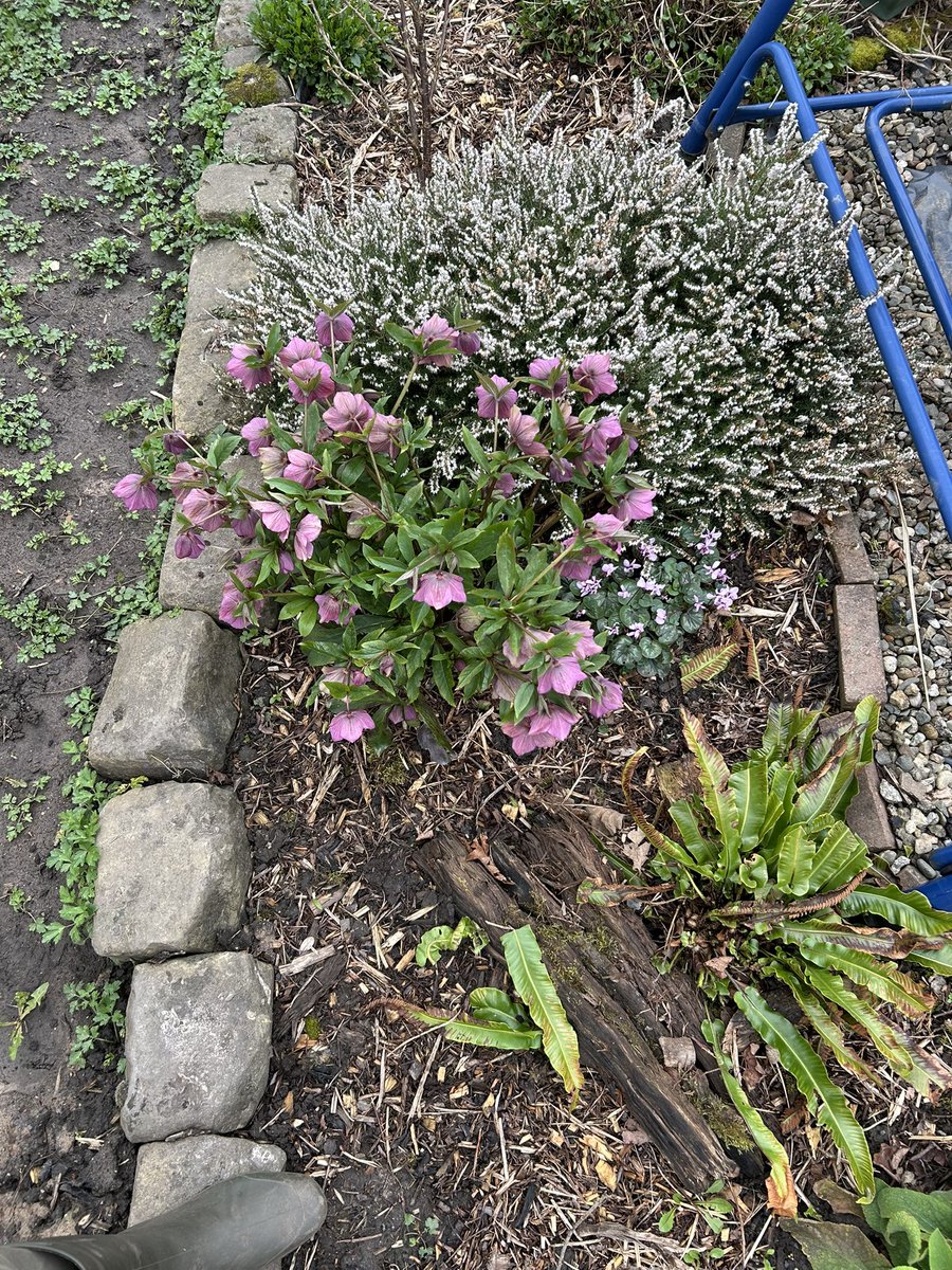 MiraSamczyk 🌸🌞🚜 tweet media