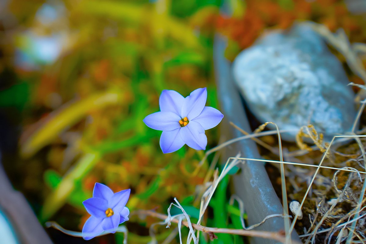 ぐのちー tweet media