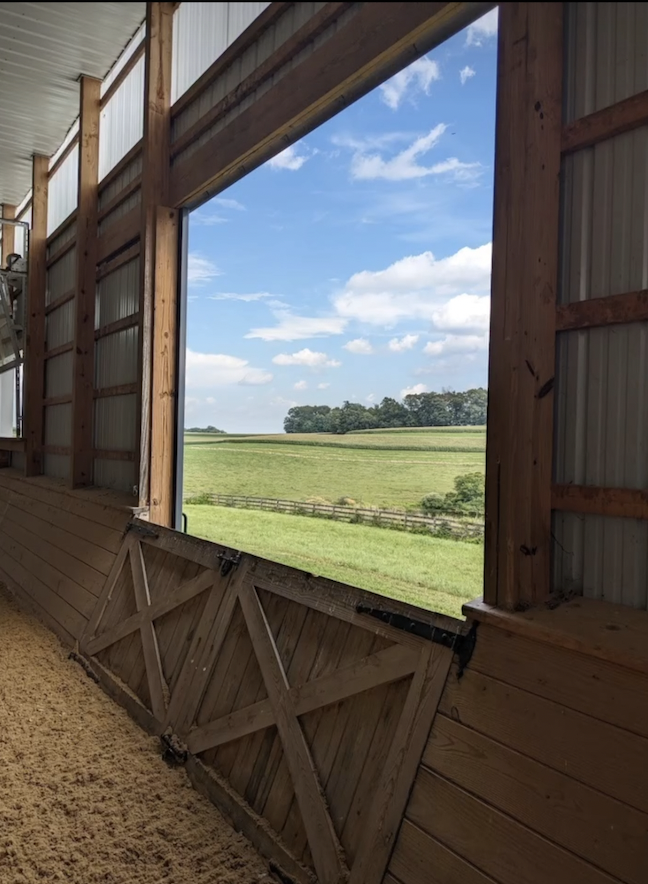 Dr. Julie Gurner tweet media