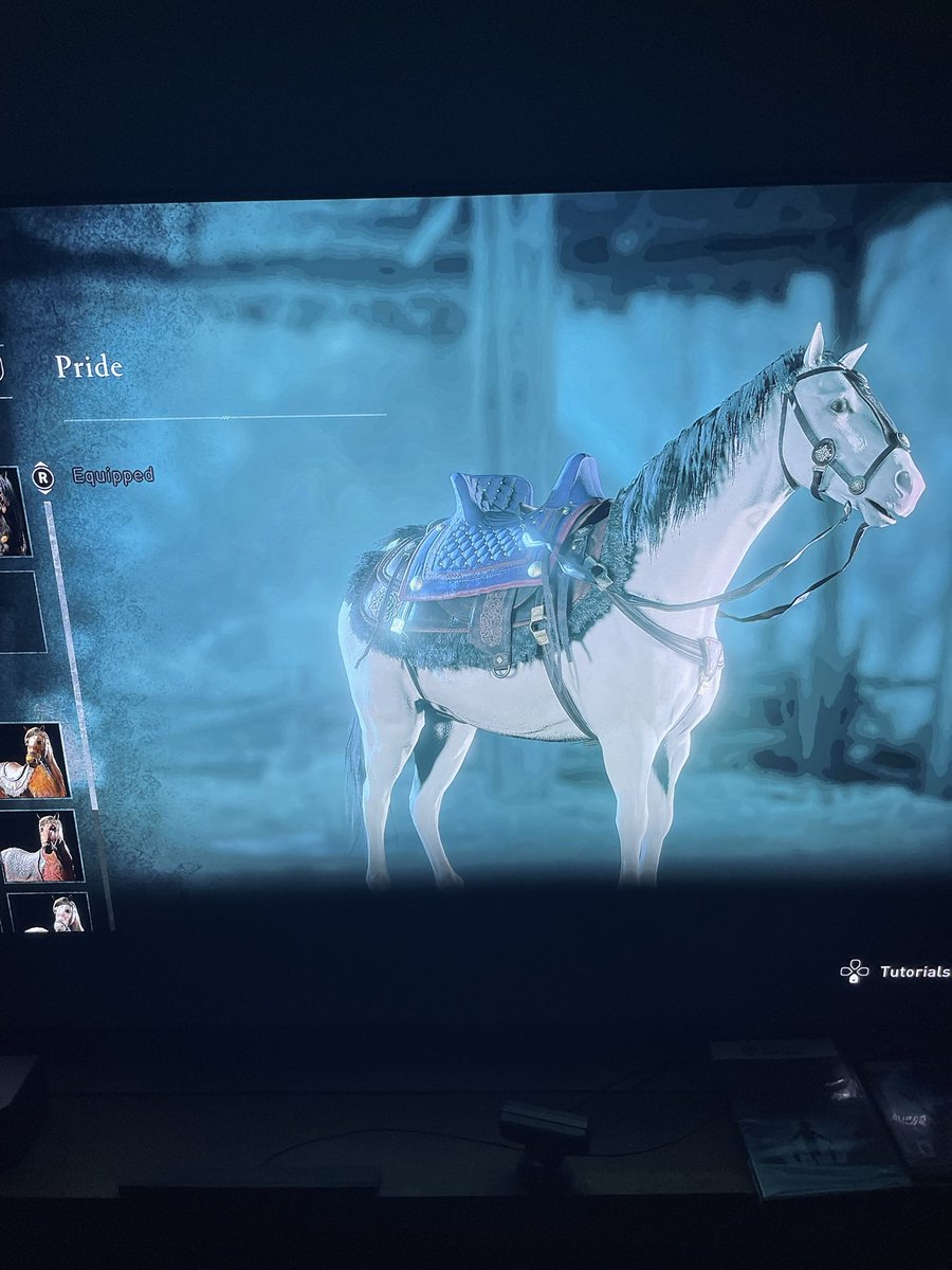 LogicalProdigal's tweet photo. In Assassin’s Creed Valhalla take a look at what Ubisoft devs named  the only ,solid white bodied, horse in the game. Remember Ubi is where SBI was born. https://t.co/53GNXrQxgD