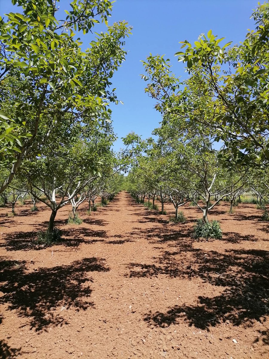 Yenişehir Çevre Platformu tweet media