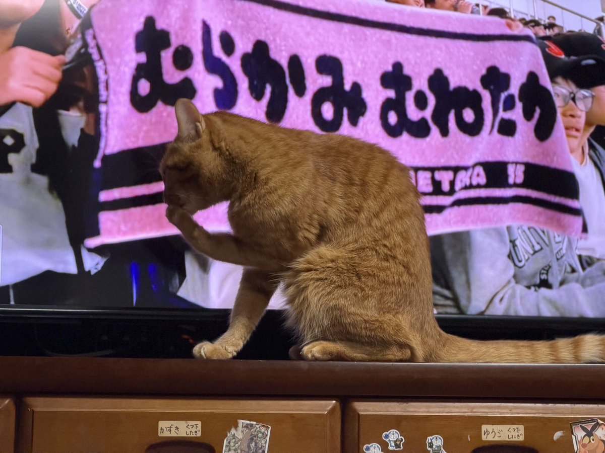 tora0804's tweet photo. 応援しましたよー勝利おめでとう㊗️

#短編小説 #ショートショート  #会計年度任用職員 #ちょっといい話 #猫 #note #投稿 #読切 #フォロバ100 https://t.co/OthLg9tx7a