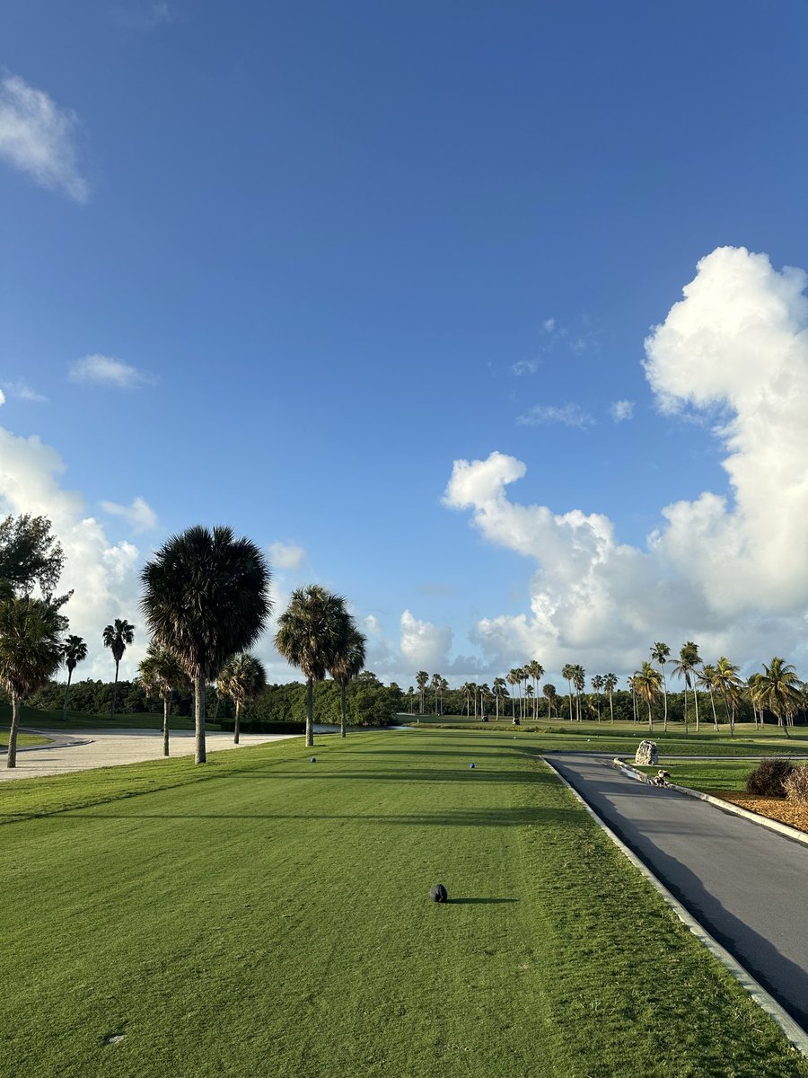 Sahith Theegolfa tweet media