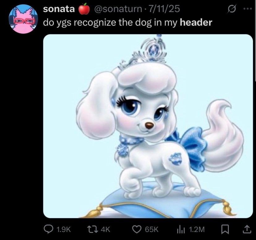 sonata 🍎 tweet media