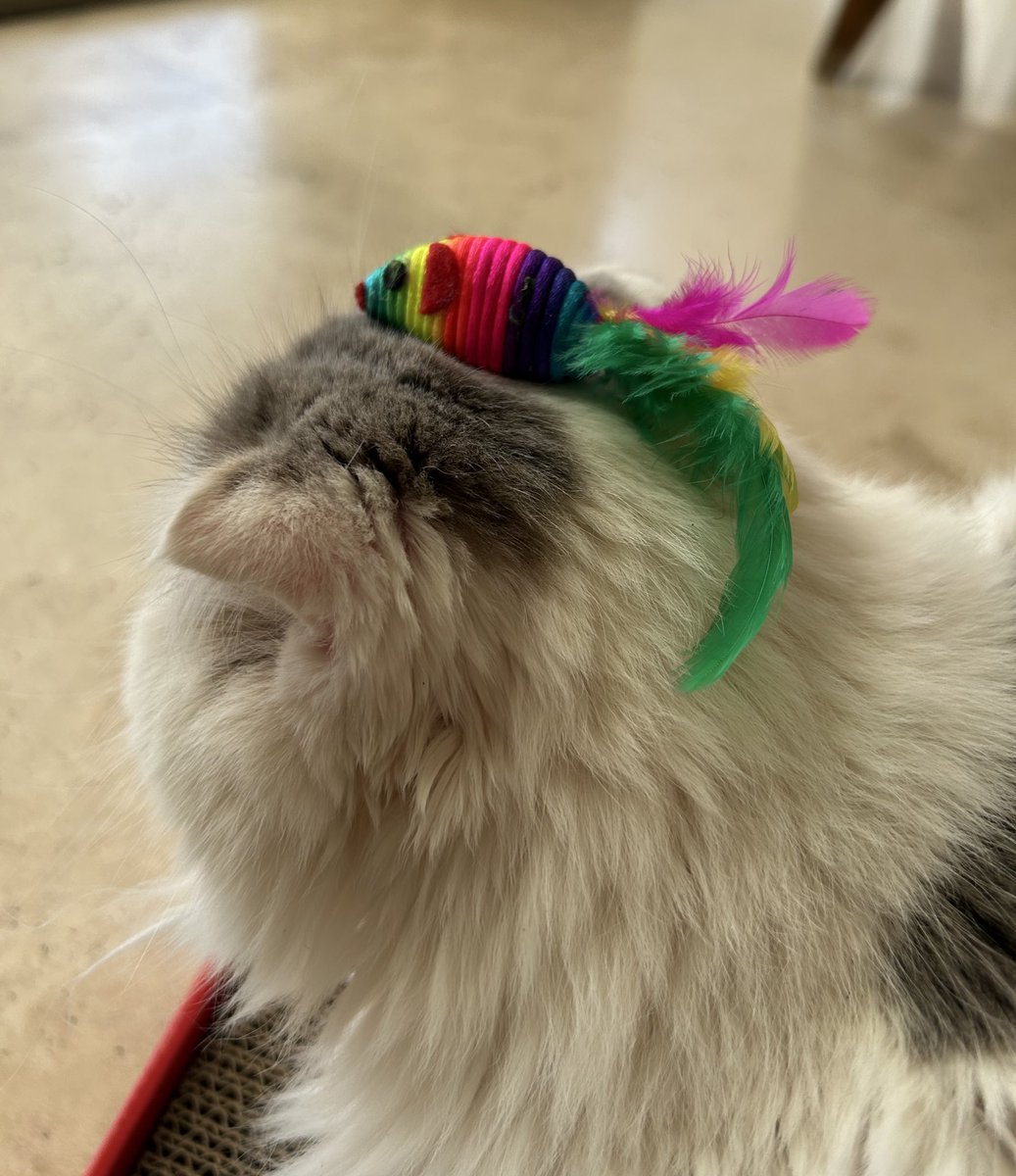 FUCKING floogle tweet media