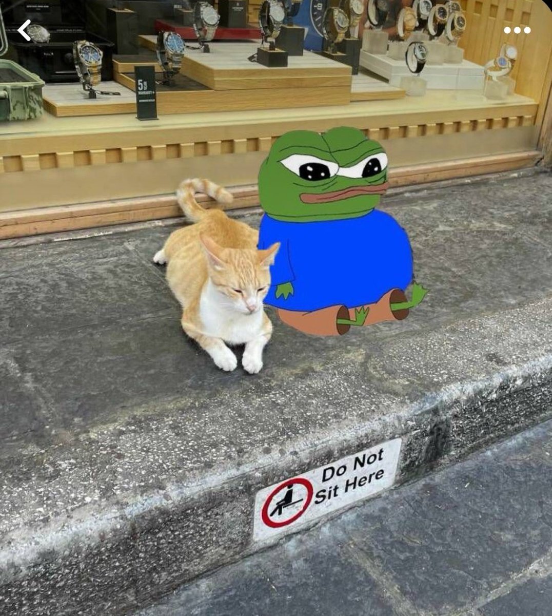 Dangle44 tweet media