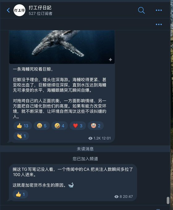 金狗猎手命king tweet media
