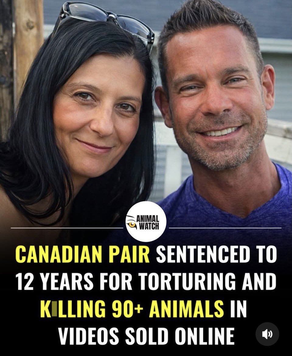 ANIMAL ABUSERS CAN ROT IN HELL 😡😡!

The fact that this is even a thing is despicable. If you do this to animals and contribute to it, may justice be swift! 

A Winnipeg couple ~ Irene Lima, 56, and Chad Kabecz, 41 ~ have received 12-year prison sentences after pleading guilty