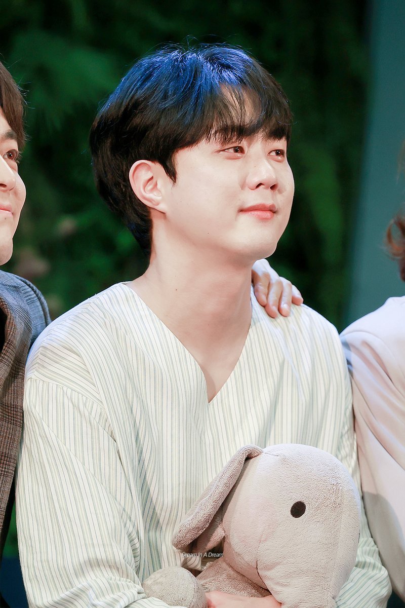 Dream In A Dream tweet media