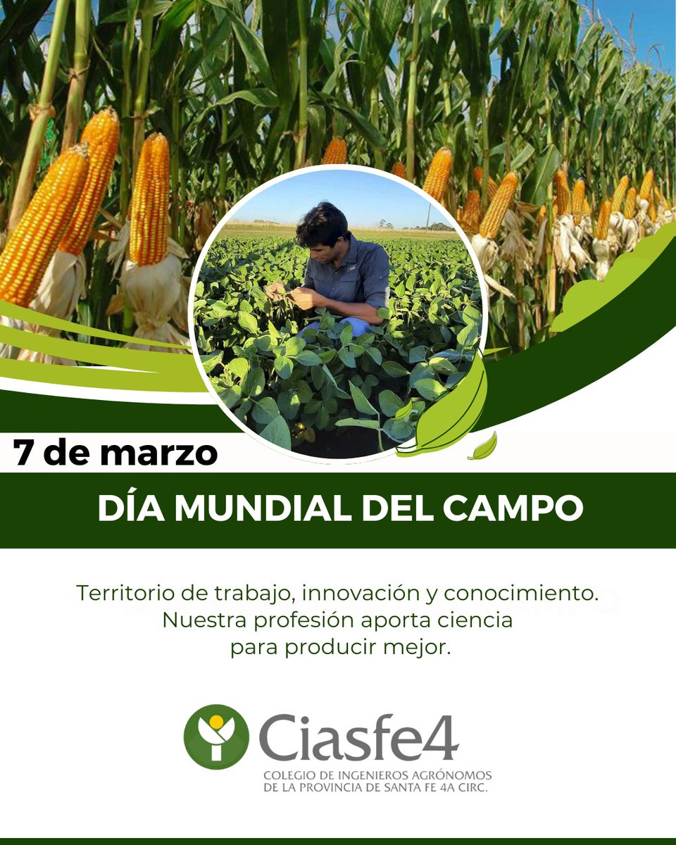 Ciasfe IV tweet media