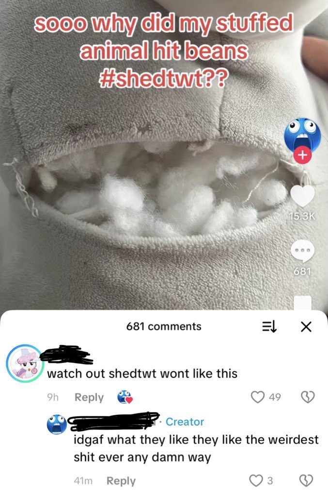 aris reid of shedtwt tweet media