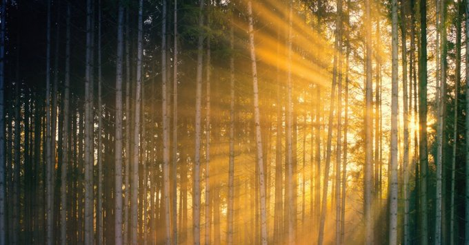 OwenGregorian's tweet photo. The Cave You Didn't Build | Chester H. Sunde & Psy.D., Psychology Today

The beliefs you inherited were someone else's firelight—here's how to test them.

Key points

- The people who shaped your beliefs weren't villains. They were conjurers working with their own limited light.

- Plato's Cave depicts two light sources: firelight and sunlight.

- You can't always see sunlight directly, but you can test any belief system against Plato's 608e criterion.

---

Most of us encountered Plato's Cave in school. Prisoners chained underground, watching shadows on a wall, mistaking those shadows for reality. One prisoner breaks free, climbs into sunlight, and sees things as they actually are. The allegory is usually taught as a story about ignorance versus enlightenment: darkness below, light above, and the goal is to get out.

That reading isn't wrong. But it leaves out the most useful part.

Who Built the Cave?

Look more carefully at Plato's description in the Politeia (514a–521b) and you'll find something he names explicitly but that most summaries skip: the people operating the puppet-show. Behind the prisoners, out of sight, figures carry carved objects past a fire, projecting shadows onto the wall in front of the chained audience. Plato calls these figures thaumatopoioi: a compound of thauma (wonder, marvel) and poiein (to make). Marvel-makers. Conjurers.

This was not an obscure word in Plato's Athens. Thaumatopoioi were the illusionists and puppet-show operators who performed at religious festivals and public theaters: entertainers whose entire craft depended on the audience not seeing how the effect was produced. Plato's choice of this word is deliberate. He is not describing neutral carriers. He is describing people whose job is manufacturing a convincing reality for an audience that cannot see behind the curtain.

Here is what matters clinically: the conjurers are not necessarily villains. They may be devoted parents, conscientious teachers, or well-meaning community leaders. What makes them conjurers is not malice. It is that their light source (the fire they use to cast shadows) is constructed rather than ultimate. Partial rather than comprehensive. The fire does not require bad intentions to produce distorted shadows. It requires only that the source of illumination is artificial rather than grounded in something real.

Your parents raised you by the light of their own inherited beliefs—some examined, many not. Your teachers taught by the light of their training and theoretical commitments. Your culture projected its narratives onto the wall of your early experience. None of these light sources is identical. None of them is sunlight. And none of the people holding them were, in most cases, trying to deceive you. They were conjurers who believed in their own show.

Two Lights, Not Two Zones

The standard reading of the Cave treats it as a story about two zones: ignorance below, knowledge above. Get out of the cave and you're done. But Plato is describing something more precise: two light sources, each illuminating the same kinds of objects differently.

Inside the cave, firelight casts shadows of manufactured props. Outside the cave, sunlight illuminates real things. The difference is not that prisoners lack cognitive ability. Plato makes this clear: some prisoners become highly skilled at predicting which shadow will appear next, tracking patterns, building reliable models of the shadow-world. That is sophisticated reasoning. It is just reasoning about the wrong objects, under the wrong light.

Fire-wisdom is knowledge that is internally coherent but bounded by the artificial constraints of whoever built the cave you're in. You can be genuinely expert in fire-wisdom (precise, consistent, even brilliant) and still be organized around a light source that is not the Good.

Sun-wisdom is knowledge illuminated by something that was not staged for you. Plato is careful here. He refuses to define the Good directly, calling it "too big a topic" (506e), and models appropriate humility: he adds "God knows" whether his own account of it is right (517c). The sun, he says, is "seen only with an effort" (517c). We are, at best, glimpsing it. Never staring at it fully in this life.

The Test Plato Actually Gives Us

If we can't stare at the sun directly, how do we evaluate the firelight we've inherited? Plato gives us a practical criterion at 608e: "That which destroys and corrupts in every case is the bad; that which preserves and benefits is the good."

This is not a metaphysical definition. It is a clinical test. You may not be able to define the Good as an ultimate principle, but you can tell the difference between a plant thriving in sunlight and one withering in a closet. You can ask of any belief system, family rule, cultural narrative, or professional framework: Does this actually preserve and benefit the people it governs? Or does it (however unintentionally) destroy and corrupt?

I use this test regularly in clinical work. Not in Platonic language, but the logic is the same. A veteran operating by rules that kept him alive in combat (hypervigilance, emotional shutdown, treating ambiguity as threat) was formed by excellent conjurers. His drill sergeants were devoted professionals. The firelight they provided was precisely calibrated for the environment it was designed for. Back home, that same firelight is destroying his marriage and his sleep. The 608e question is not whether the original light source was good. It is whether it is preserving and benefiting him now.

The answer to that question is almost always something the person already knows. They just haven't had permission to ask it out loud.

Turning Toward the Sun

What distinguished Socrates was not that he had escaped the cave. It was that he never stopped questioning whether the light by which he saw was firelight or sunlight. His famous claim—that he knew he did not know (Apologia 21d)—was not false modesty. It was the recognition that his own carefully tended beliefs were not necessarily sun-wisdom. The philosophical life, on this reading, is not a destination. It is a practice: perpetual questioning of the light sources we inhabit, testing each one against what preserves and benefits rather than destroys and corrupts.

Each of us carries fires we did not light. The question is not whether we can escape them entirely. It is whether we are willing to hold them up to scrutiny—and keep turning, however slowly, toward a warmer light.

Read more:

https://t.co/iVVQppWT2n