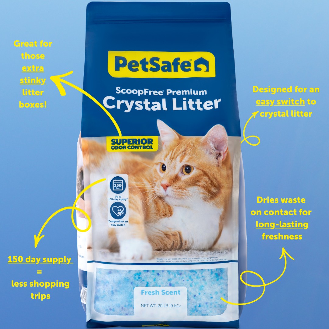 PetSafe tweet media