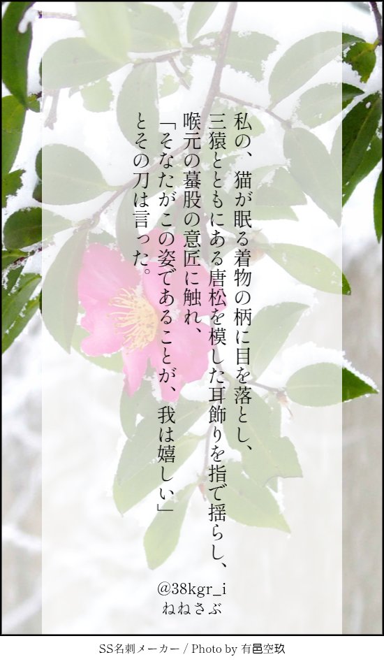ねねさぶ