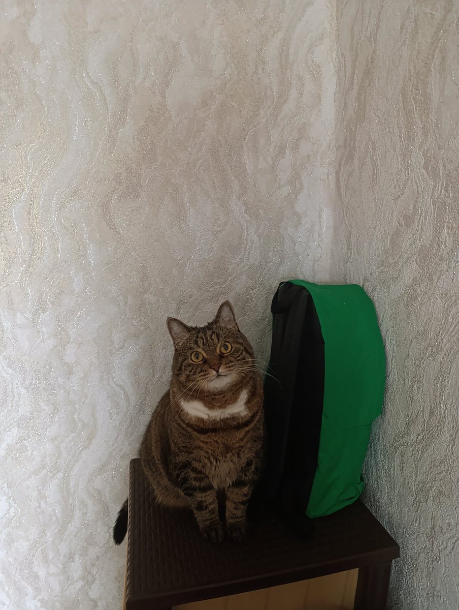 Обитель лесной ведьмы tweet media