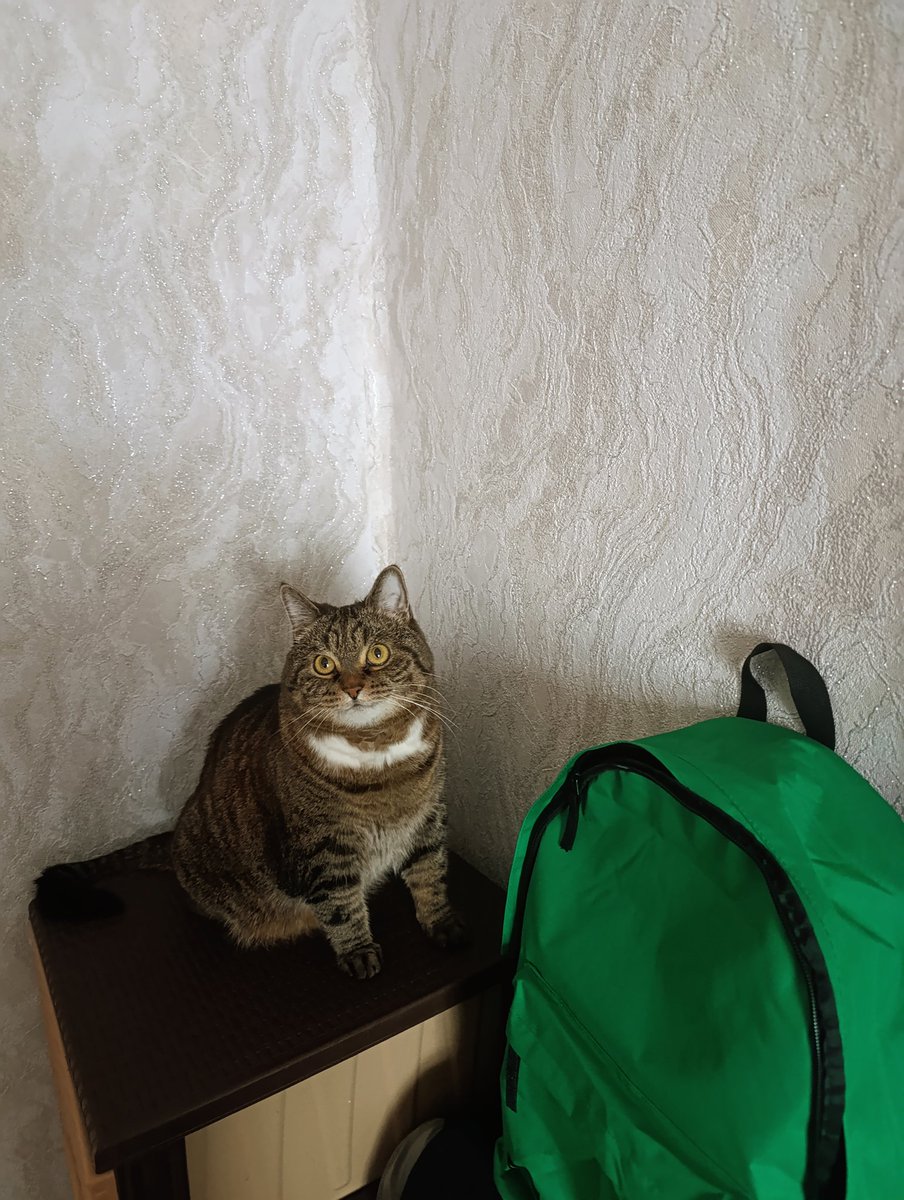 Обитель лесной ведьмы tweet media