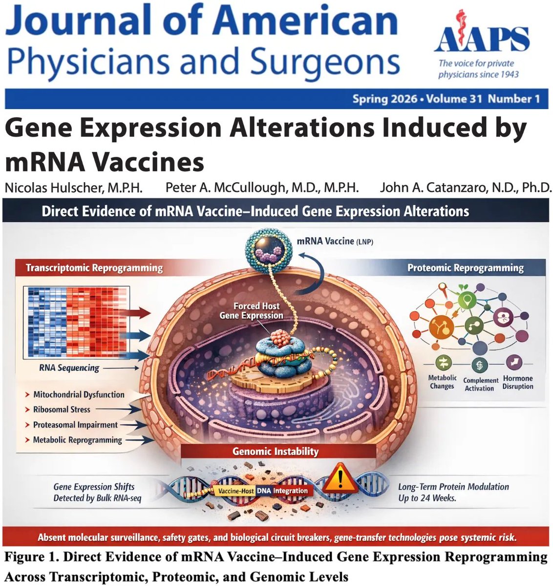 BREAKING: Peer-Reviewed Paper Finds mRNA “Vaccines” Are Gene-Altering Technologies

Multi-omic evidence shows mRNA gene-transfer shots fundamentally reprogram human gene expression across multiple biological systems — warranting immediate suspension of the entire mRNA platform.