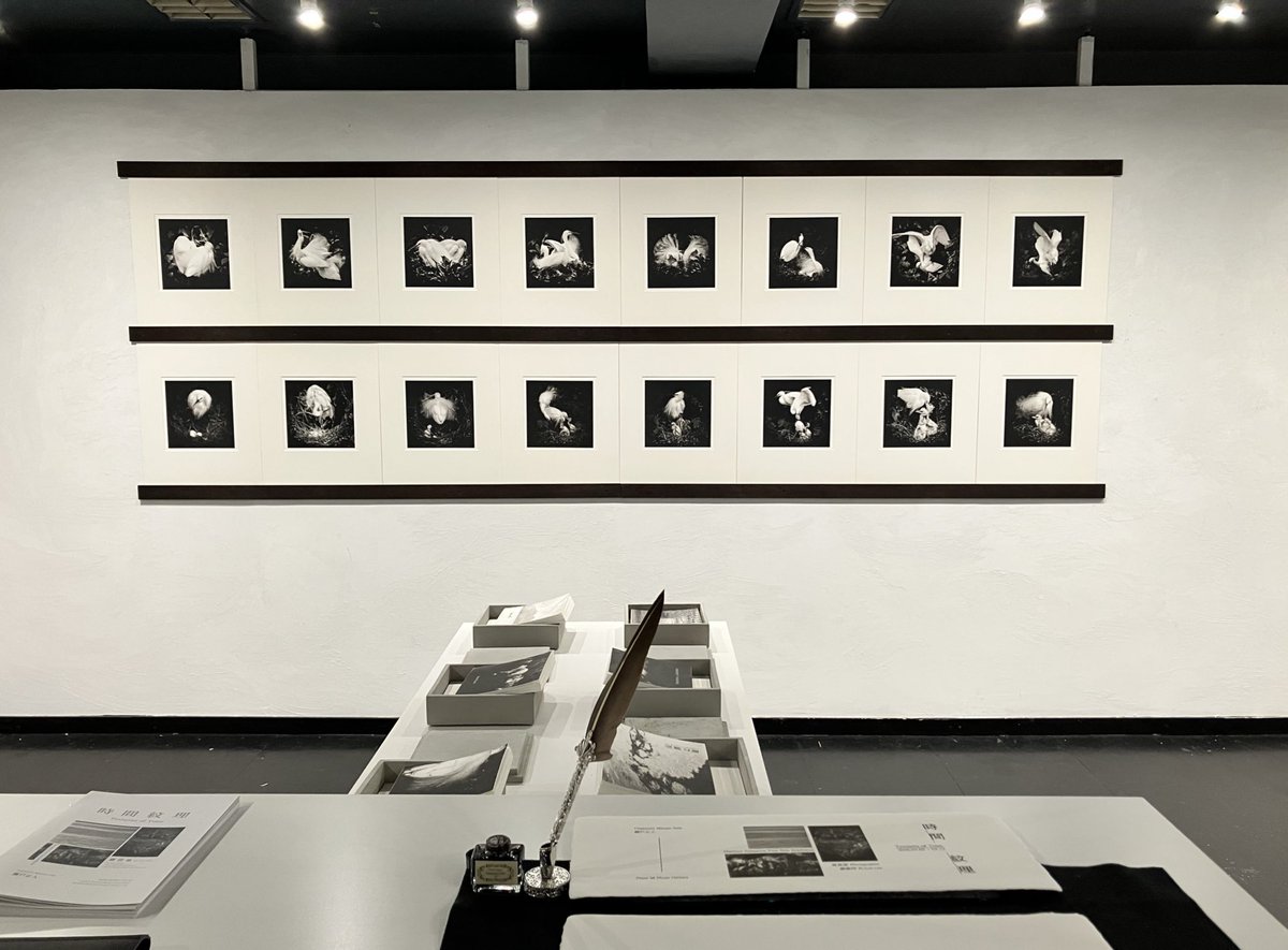 見学ログ
プレイスM