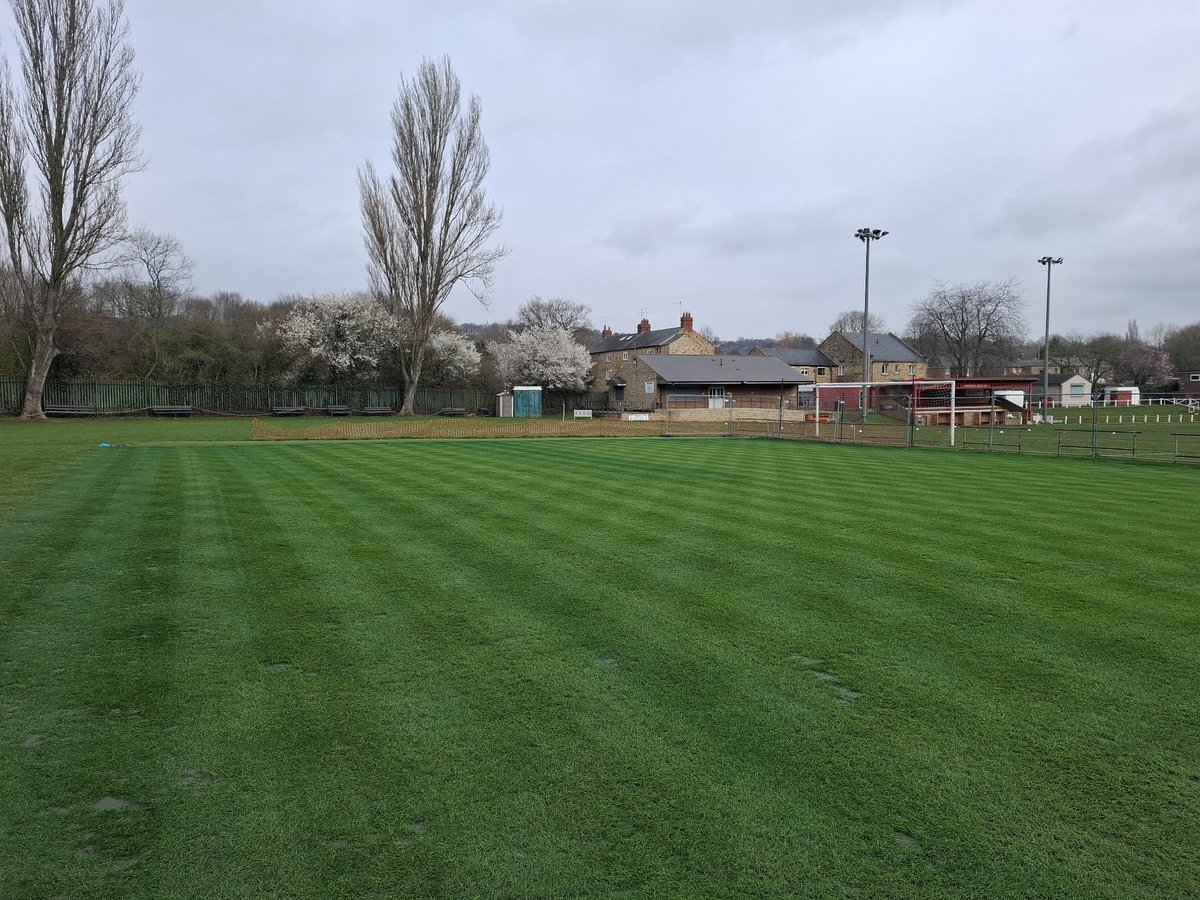 Mark Wilkinson tweet media