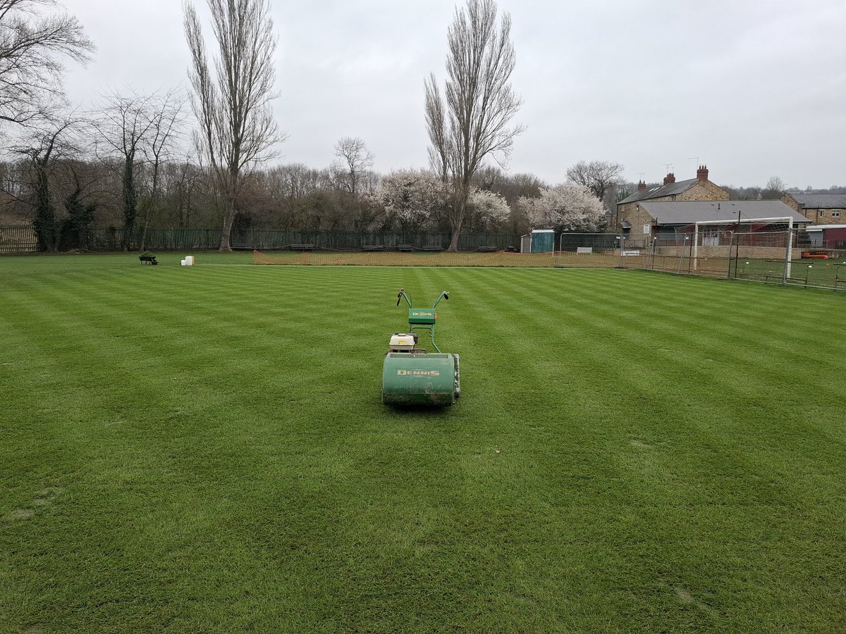 Mark Wilkinson tweet media