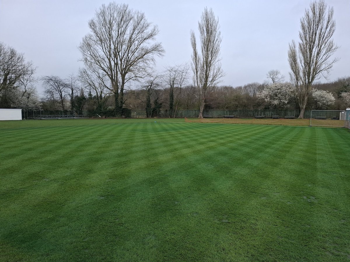 Mark Wilkinson tweet media