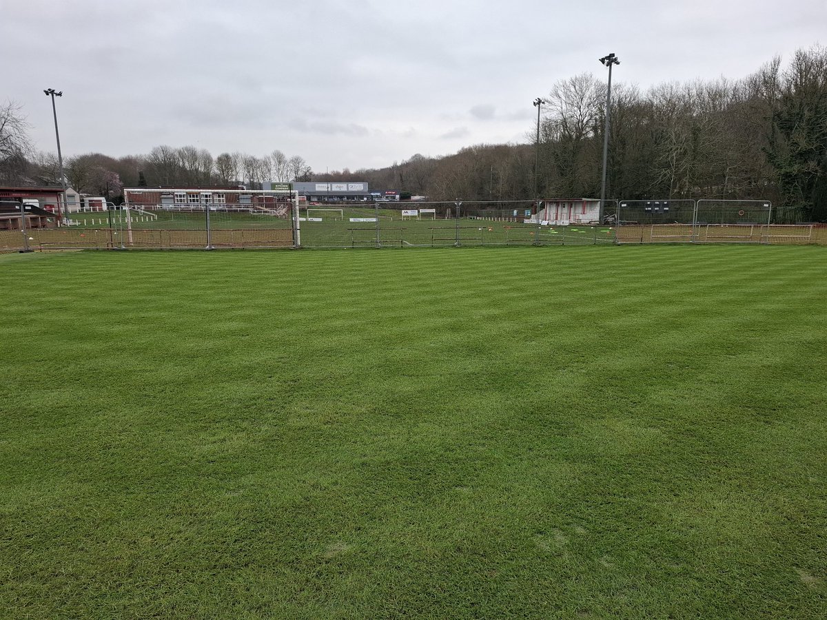 Mark Wilkinson tweet media