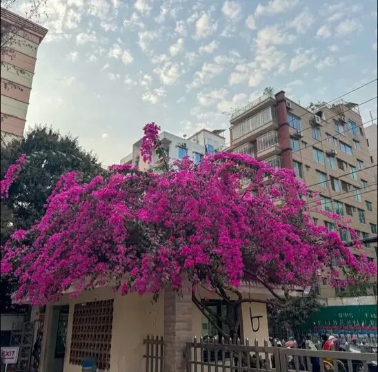 Jeasminakter tweet media