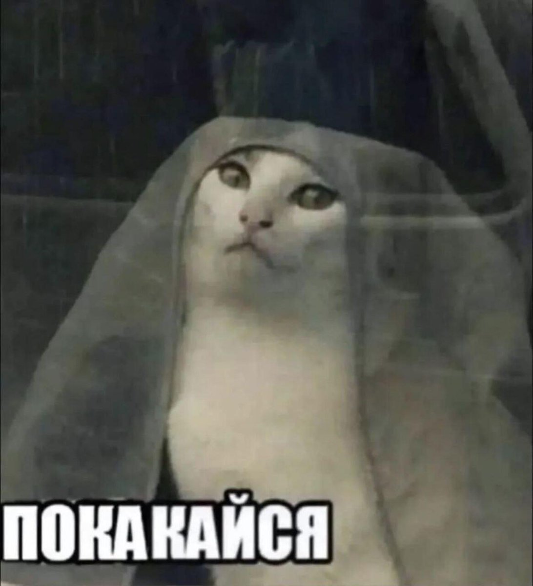 Genuine Stupidity tweet media