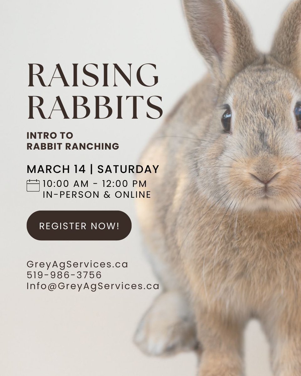 GreyAgServices tweet media