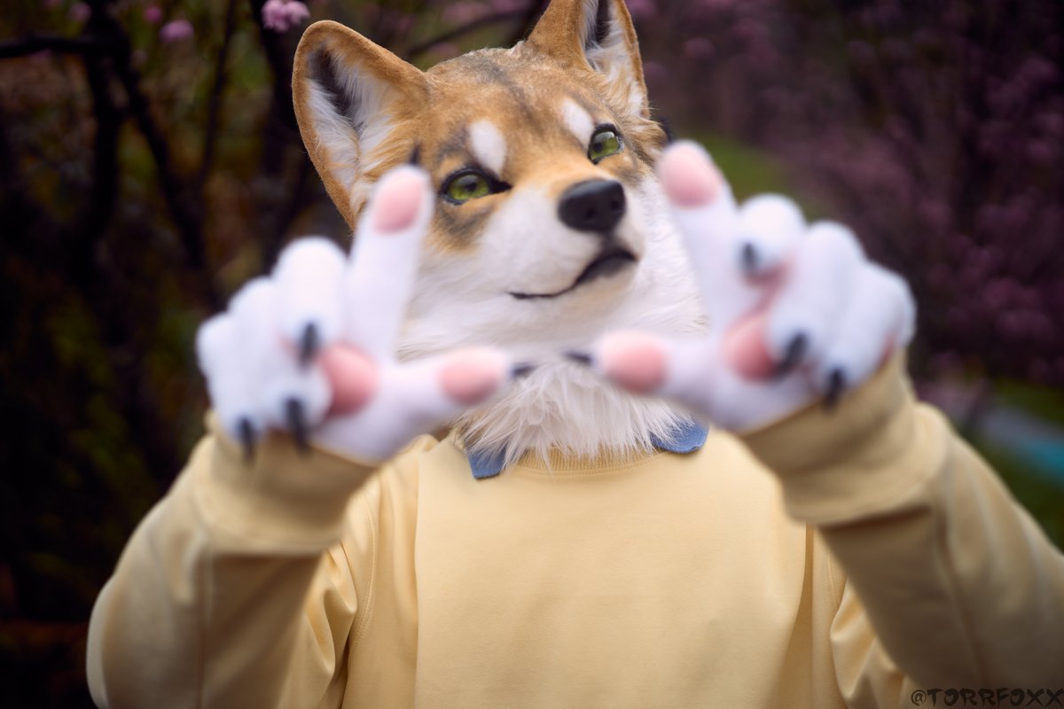 Selly GO Your Heart tweet media