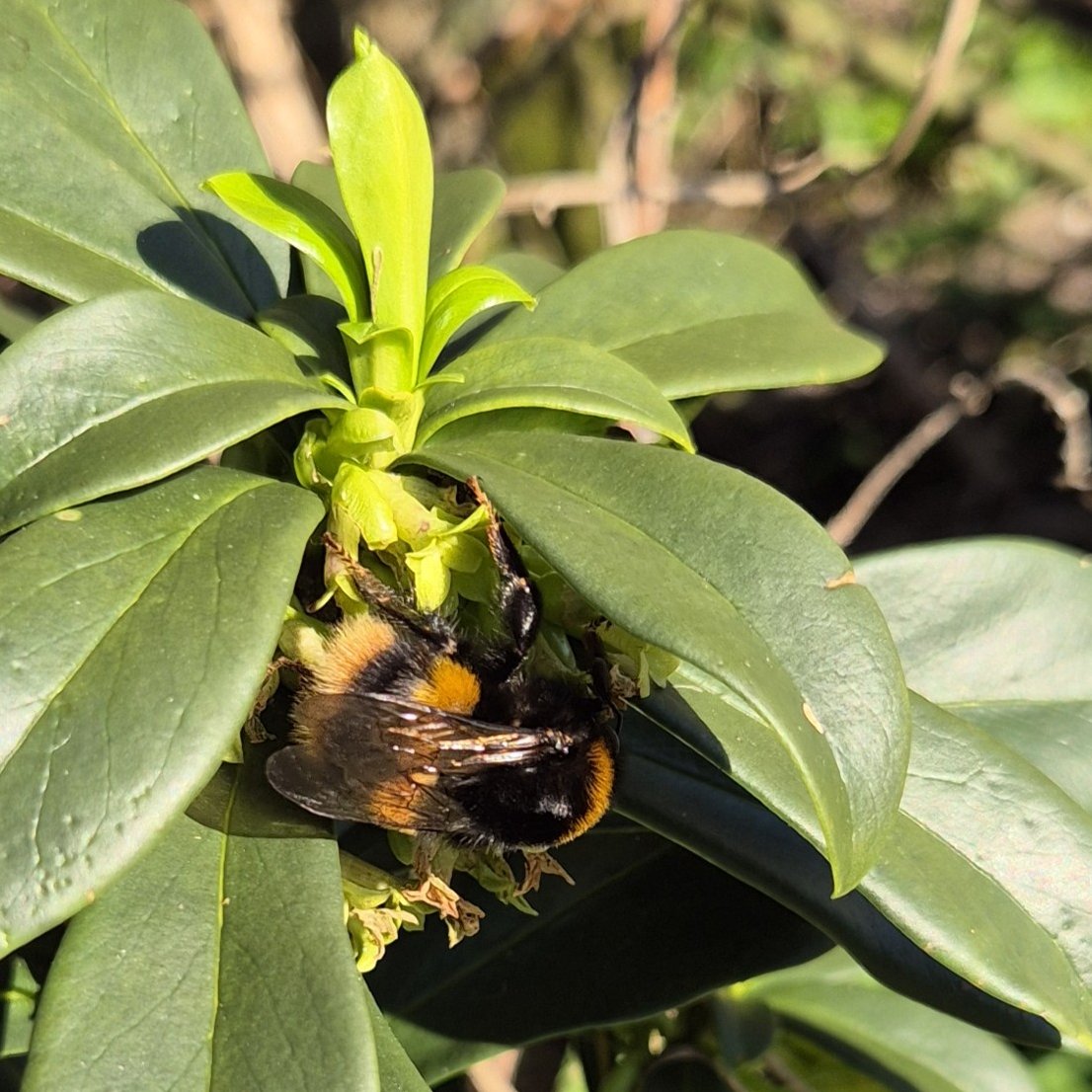 Wendy Tobitt 💙 tweet media