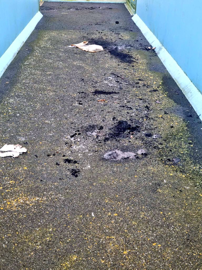 The Independent Brigg Line Rail Group (Est 2012) tweet media