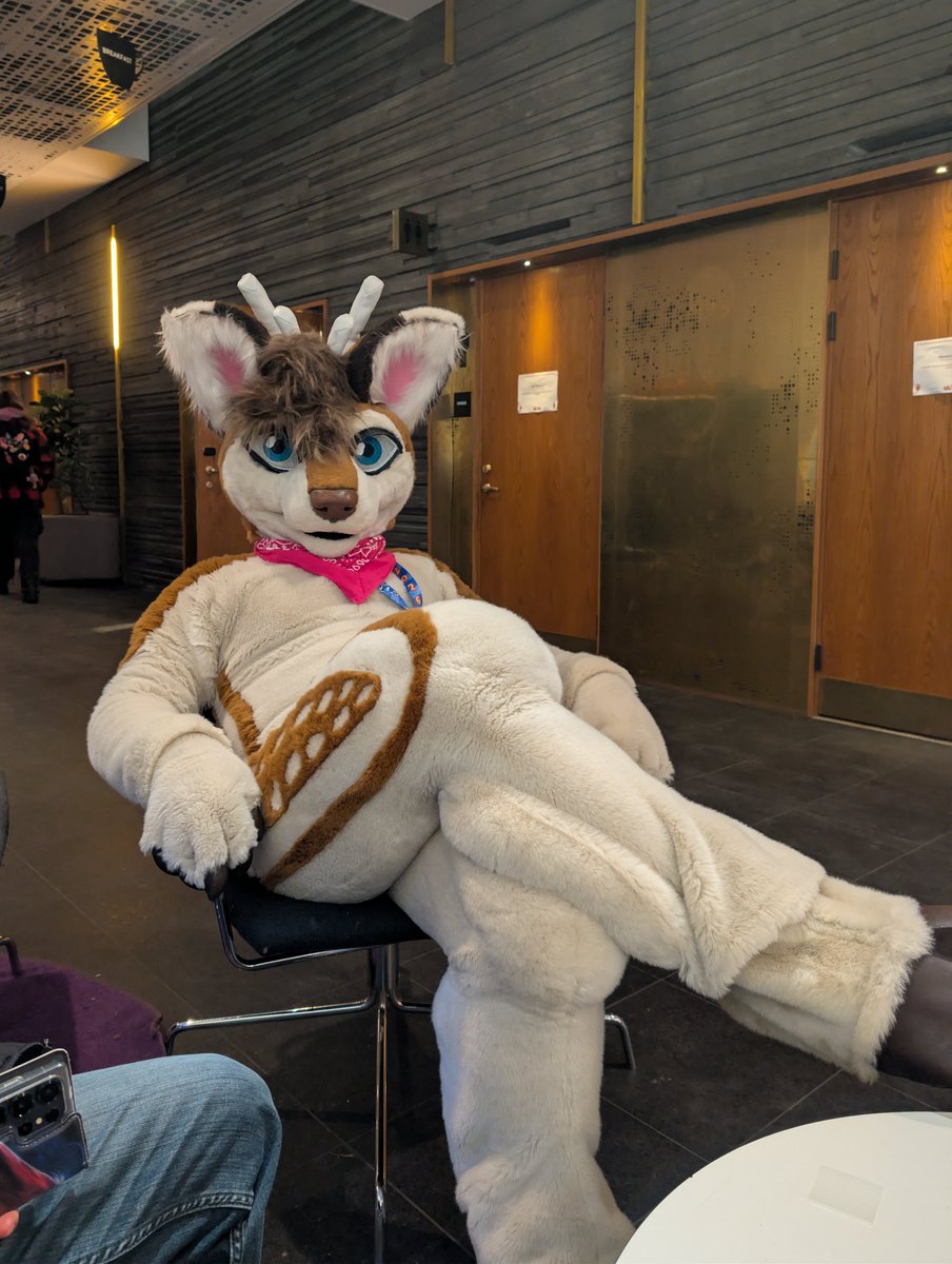 Parpar 🦌 | Hanni 🦁🐯 tweet media