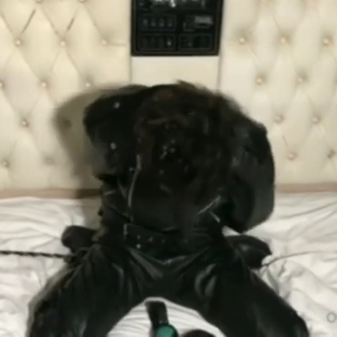 채운(ChaeUn) tweet media