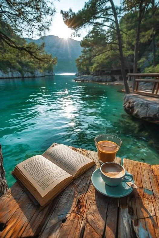 TeleMediaFr tweet media