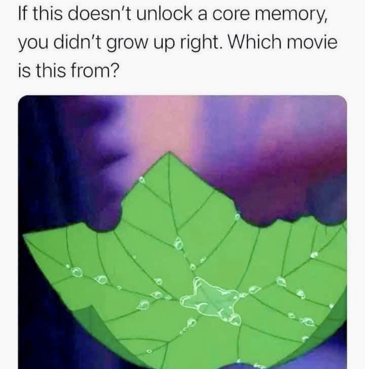 Respectful Memes tweet media