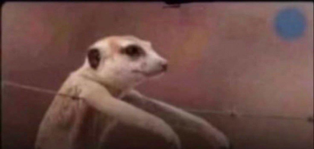 Good morning people 

To be called inconsistent, you have  to be consistently inconsistent...making you consistent