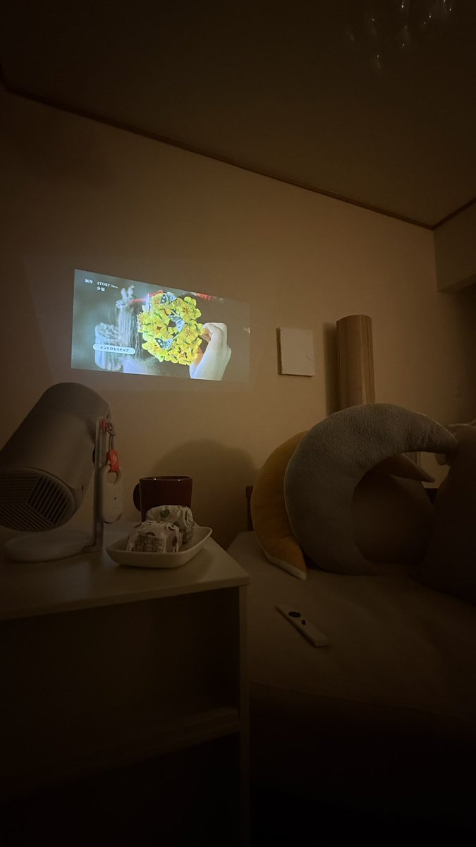 machida_rina's tweet photo. おじいちゃんが野球見たい！ってことでせっかくネトフリ入ったので、私は休日にドラマを一気見♡   気分で自分が移動するのに合わせてあっちに映したりこっちに映したり、スマホよりPOCAを持ち歩いた休日でした🤭

#AladdinX #プロジェクター https://t.co/umpQlCadeq