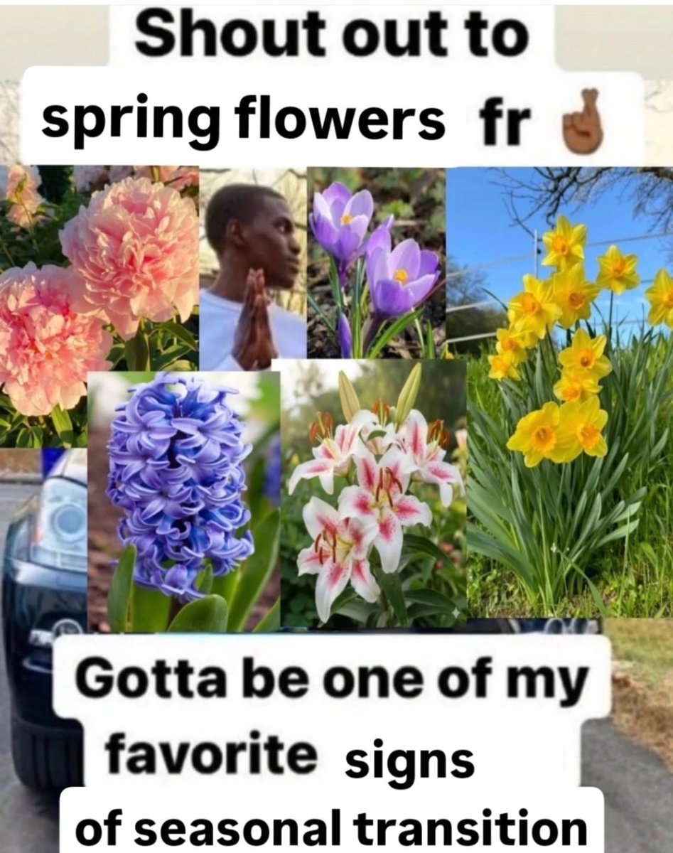 Respectful Memes tweet media