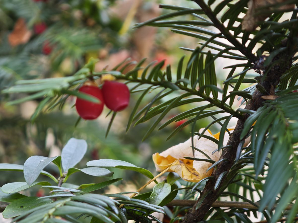 dorha_photos's tweet image. #MorningMotivation #CreativeFlow #NaturePhotography
New day. New light. New possibilities. 🌅
​I captured this shot on the move&amp;amp; it reminded me that creativity doesn't need a pause button
Keep flowing, keep building&amp;amp; keep being awesome
​Wishing u a joyful&amp;amp;productive weekend! 🧡✨