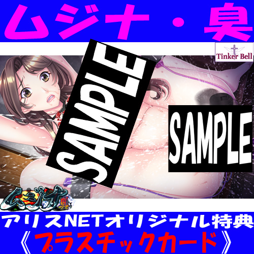 アリスNET tweet media