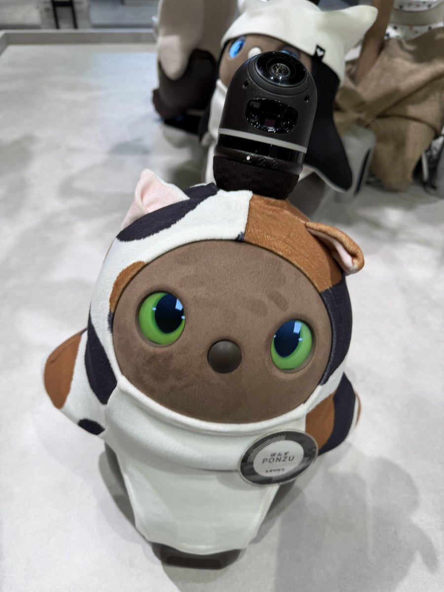 よねいち まるお (@yoneichimaruo) / Posts / X