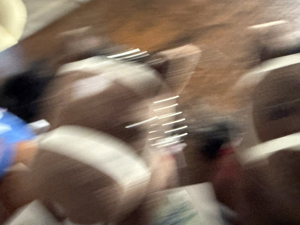 予約していたメイショウタバルのアイドルホースとディープボンドのSサイズが届いたよ!!!!!!! #メイショウタバル #ディープボンド 