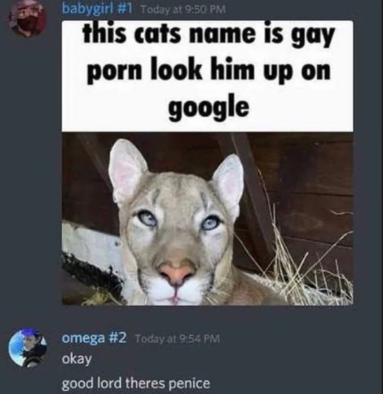 Zigzaglawyer tweet media