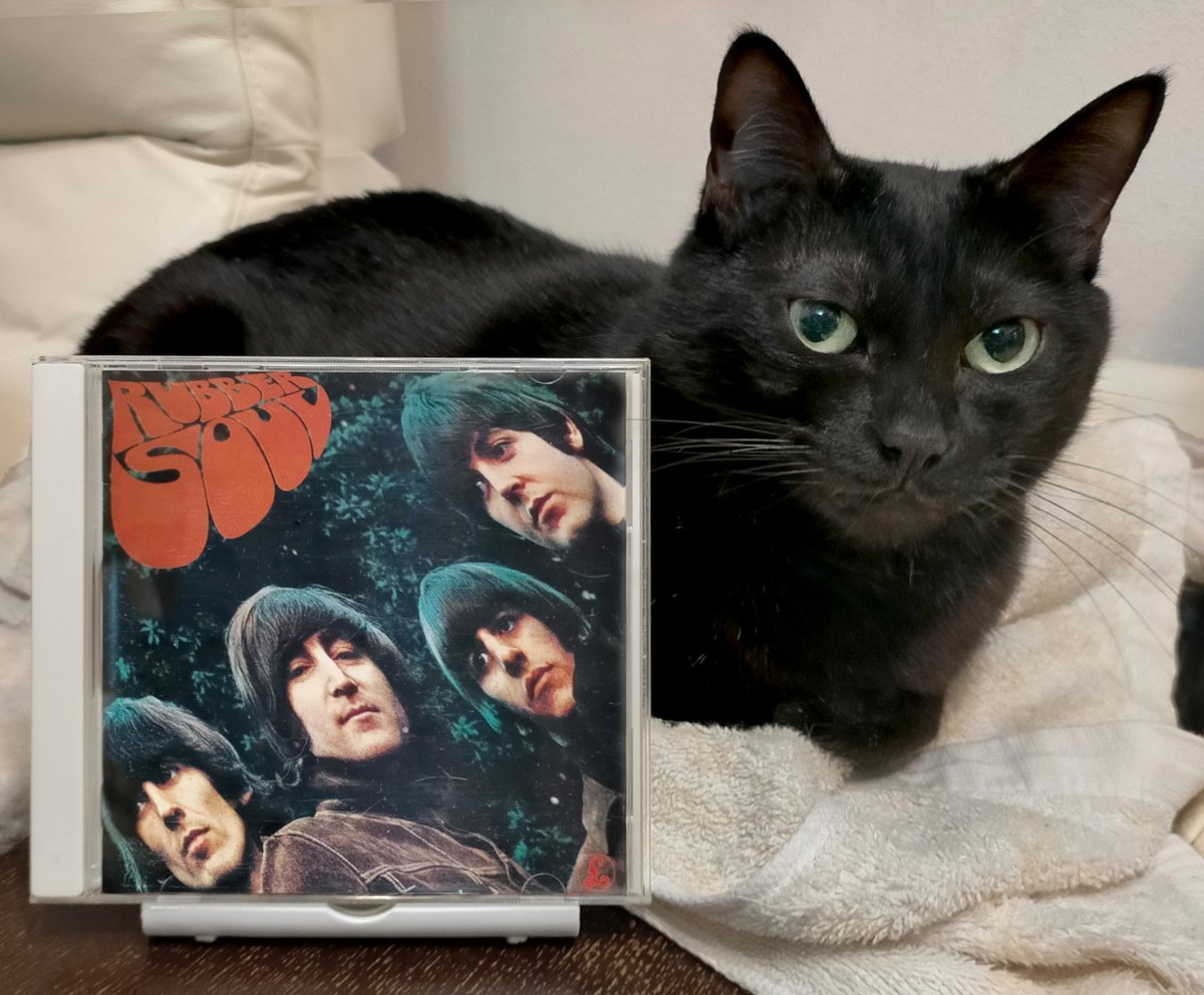 タウンゼント (@music_with_neko) / Posts and Replies / X