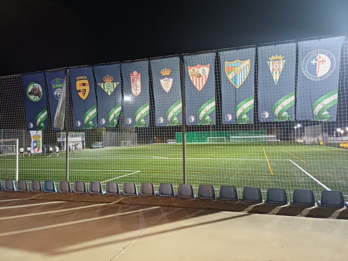 Cd Lucecor tweet media