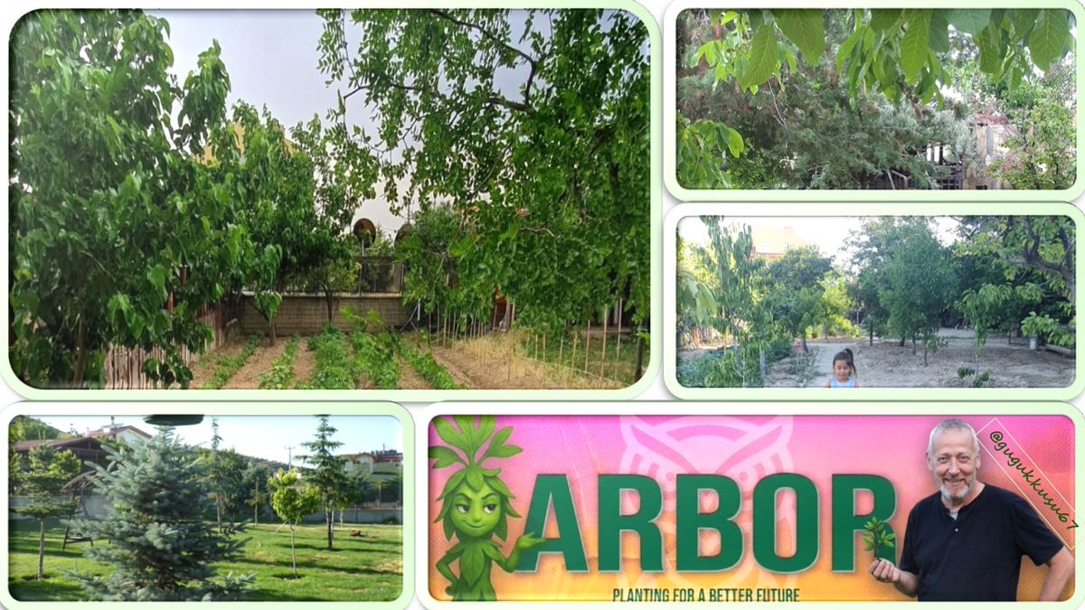 Hasan Yılmaz tweet media