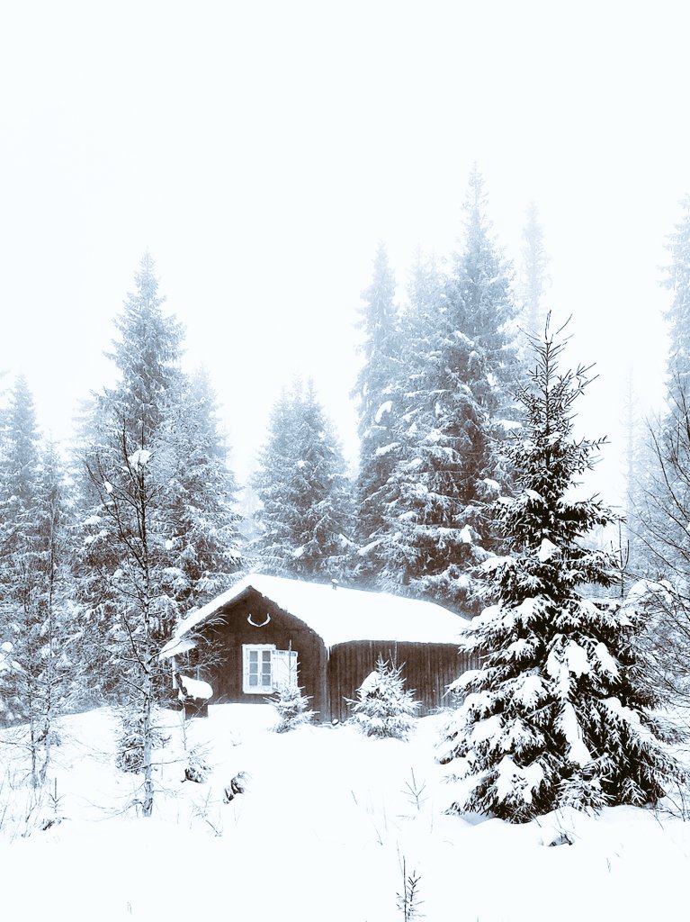 𝓔𝓻𝓲𝓴 𝓽𝓱𝓮 𝓿𝓲𝓴𝓲𝓷𝓰 ⚔️ tweet media