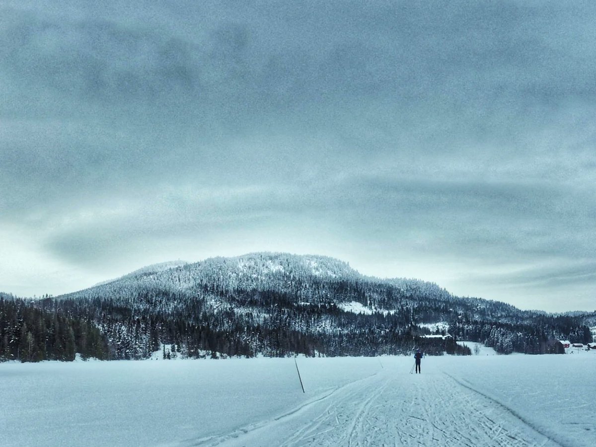 𝓔𝓻𝓲𝓴 𝓽𝓱𝓮 𝓿𝓲𝓴𝓲𝓷𝓰 ⚔️ tweet media