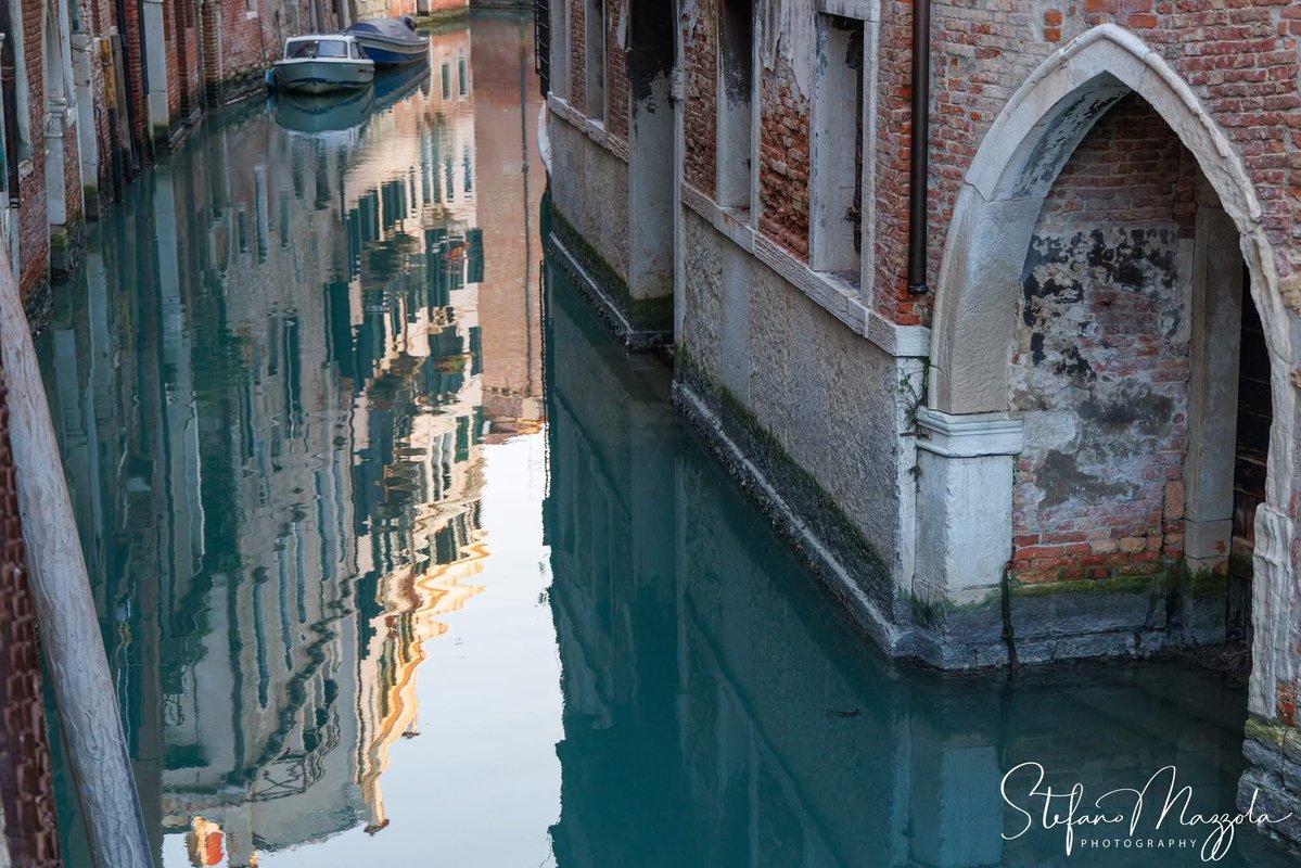 Stefano Mazzola tweet media